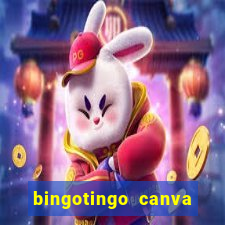 bingotingo canva pro gratis