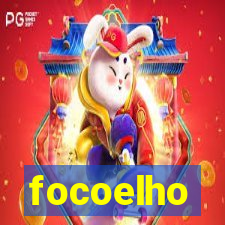 focoelho