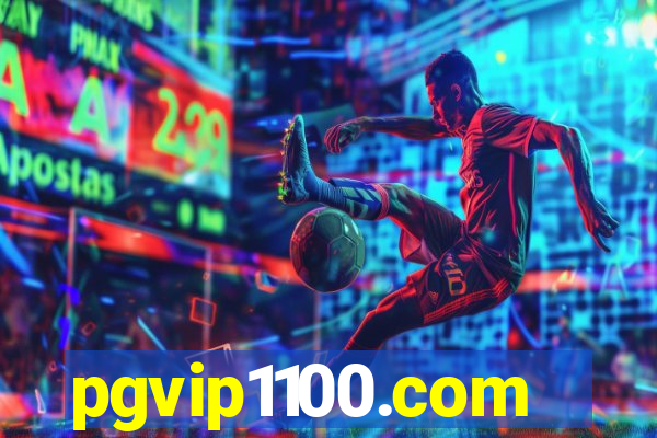 pgvip1100.com