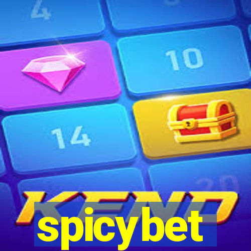 spicybet-4.com