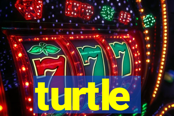 turtle-ty.com